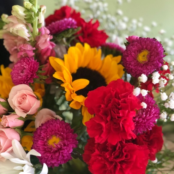 Meet your Posher, Brynne - Picture 1 of 1